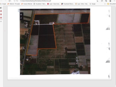 azienda agricola in vendita a Ferrara