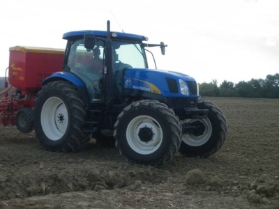 azienda agricola in vendita a Ferrara