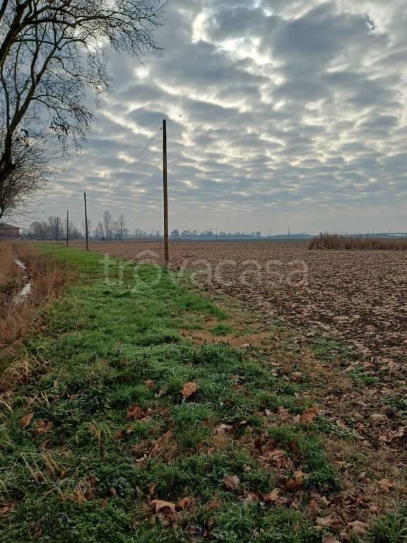 terreno agricolo in vendita a Ferrara in zona Porotto / Cassana