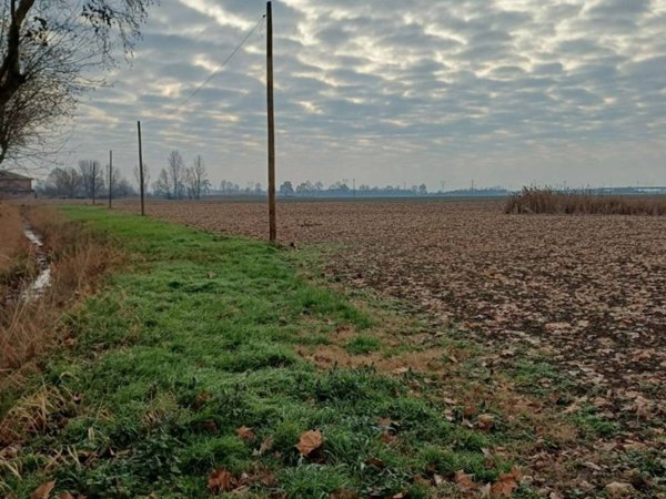 terreno agricolo in vendita a Ferrara in zona Porotto / Cassana