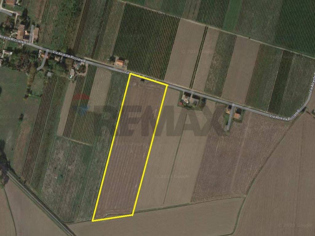 terreno agricolo in vendita a Ferrara