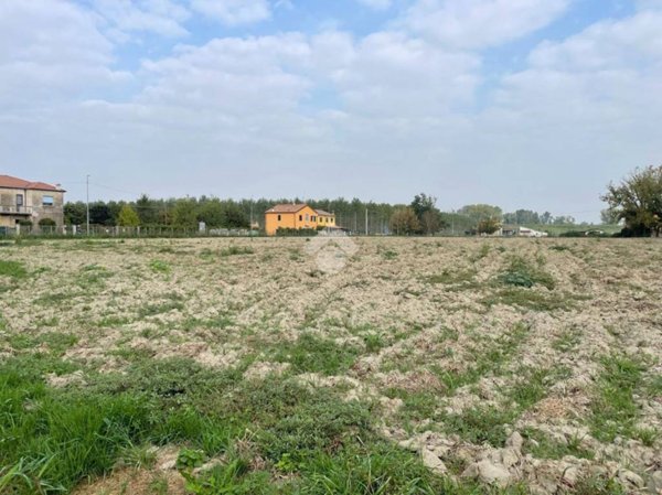 terreno agricolo in vendita a Ferrara in zona Francolino