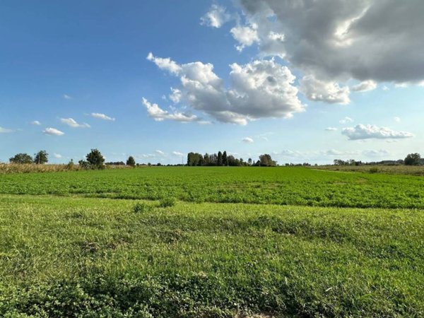 casa semindipendente in vendita a Ferrara in zona Porotto / Cassana