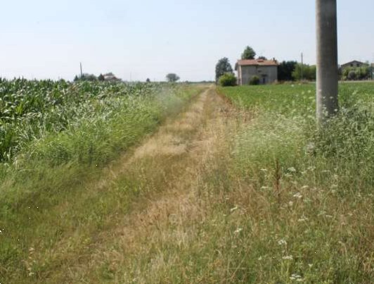 casa indipendente in vendita a Ferrara