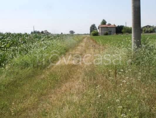 casa indipendente in vendita a Ferrara