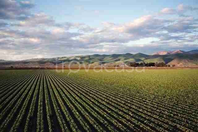 terreno agricolo in vendita a Ferrara in zona Codrea