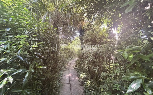 casa indipendente in vendita a Jolanda di Savoia