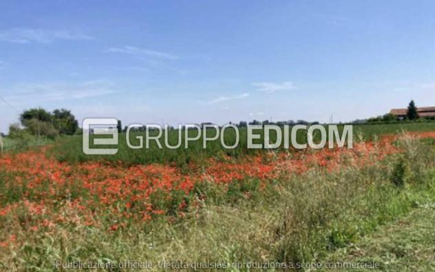 terreno agricolo in vendita a Lagosanto