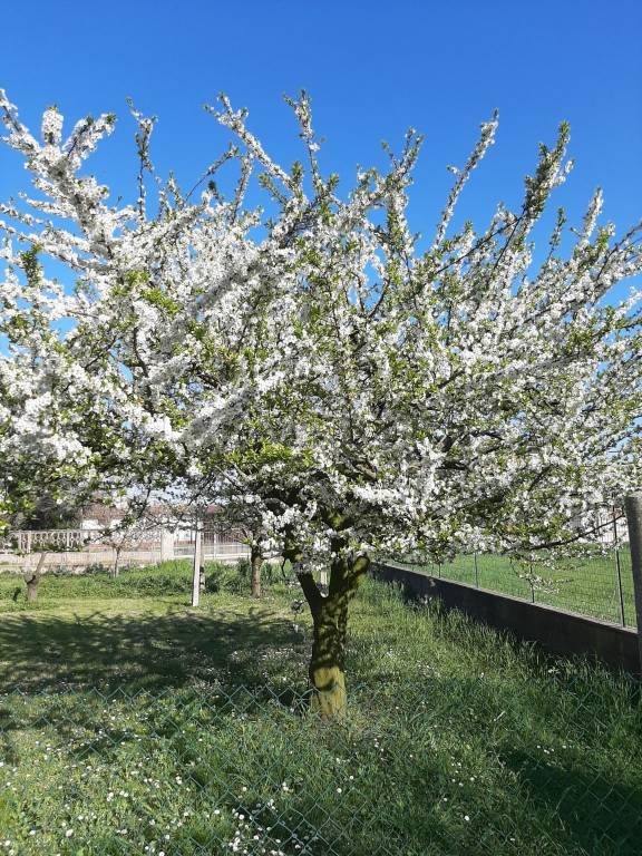 locale di sgombero in vendita a Lagosanto
