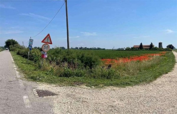 terreno agricolo in vendita a Lagosanto