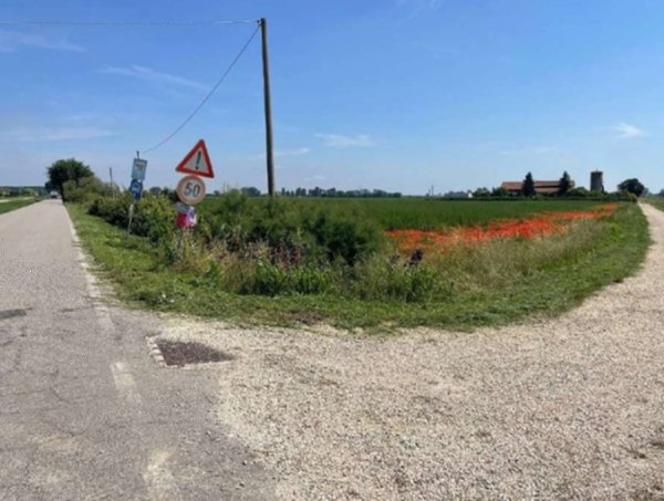 terreno agricolo in vendita a Lagosanto