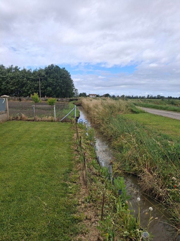 terreno agricolo in vendita a Lagosanto
