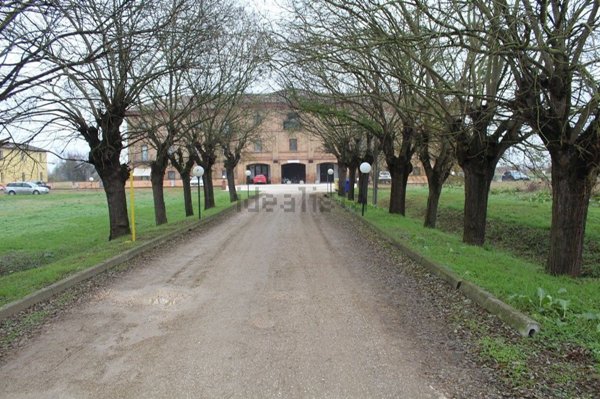 appartamento in vendita a Lagosanto