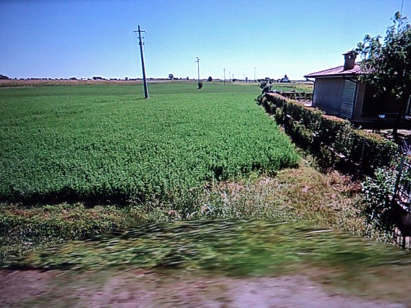 terreno edificabile in vendita a Lagosanto