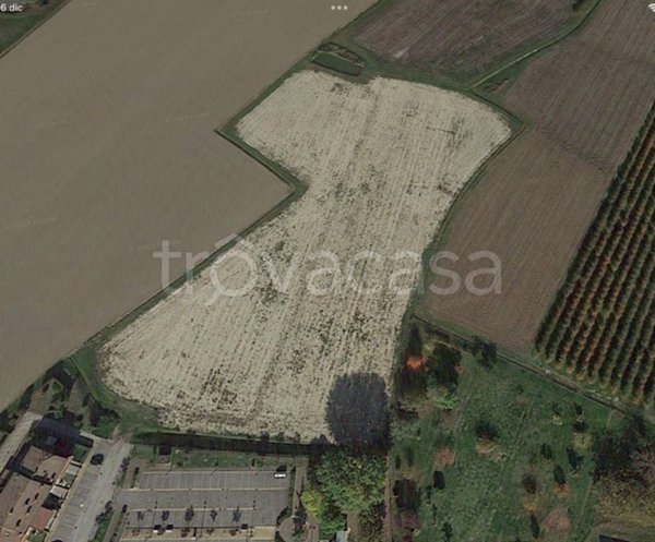 terreno agricolo in vendita a Masi Torello