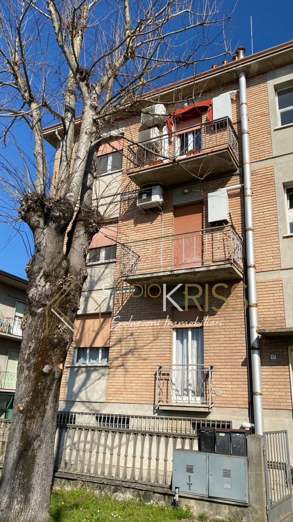 appartamento in vendita a Masi Torello