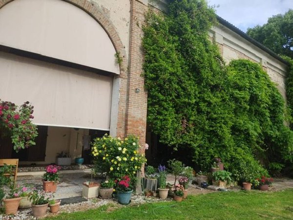 casa indipendente in vendita a Masi Torello