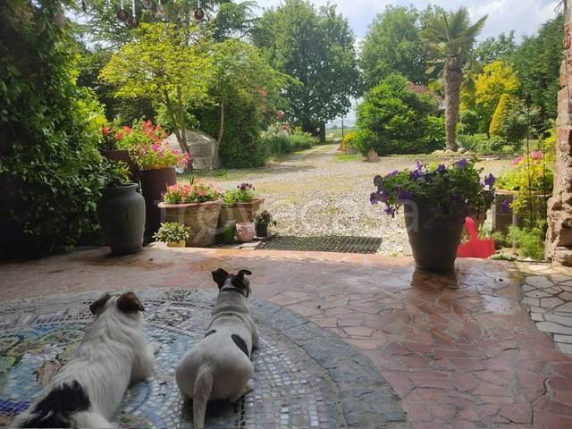 casa indipendente in vendita a Masi Torello