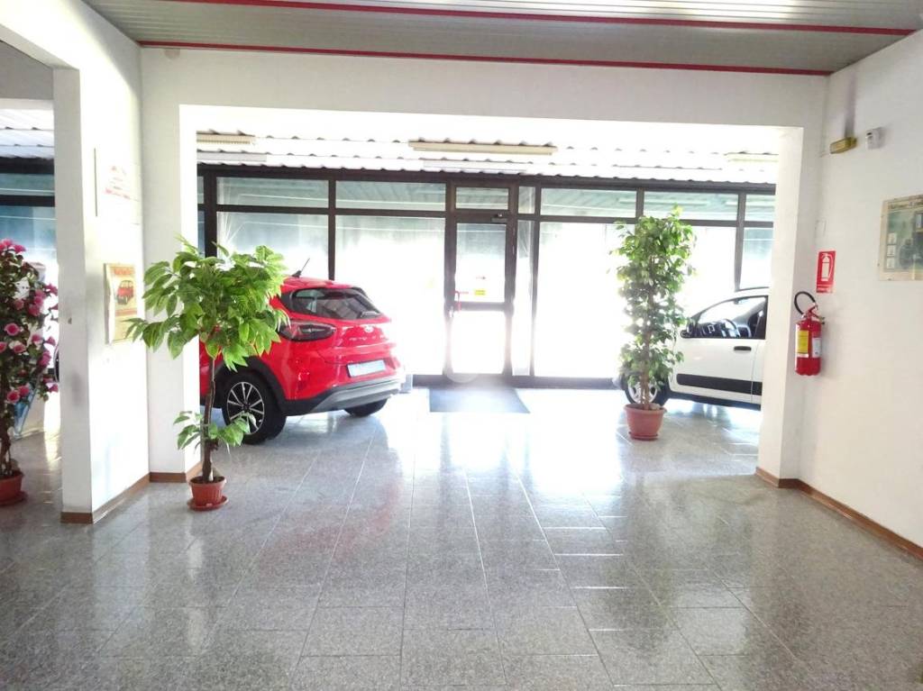 negozio in vendita a Masi Torello in zona Masi San Giacomo