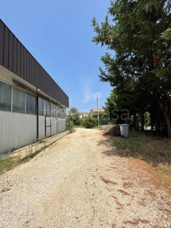 appartamento in vendita a Mesola in zona Ariano