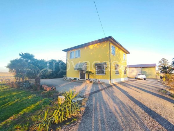 casa indipendente in vendita a Mesola in zona Bosco Mesola