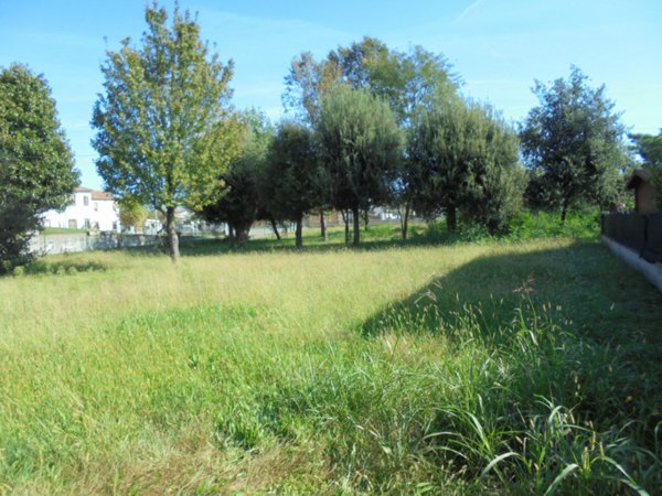 casa indipendente in vendita a Mesola in zona Bosco Mesola