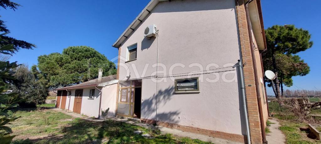 casa indipendente in vendita a Mesola in zona Bosco Mesola