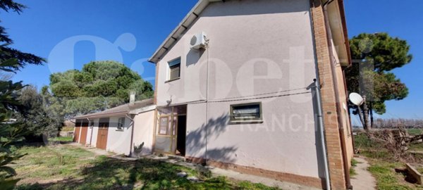 casa indipendente in vendita a Mesola in zona Bosco Mesola
