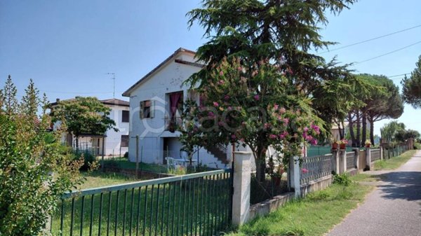 immagine annuncio 0 di 12