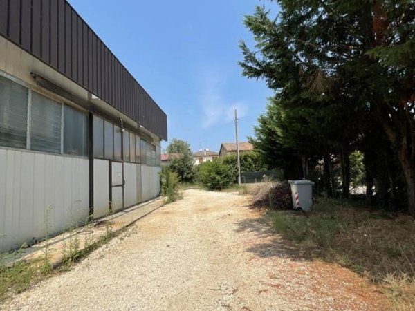 locale commerciale in vendita a Mesola in zona Ariano