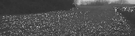 terreno agricolo in vendita a Mesola