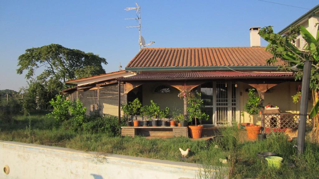 casa indipendente in vendita a Mesola in zona Monticelli