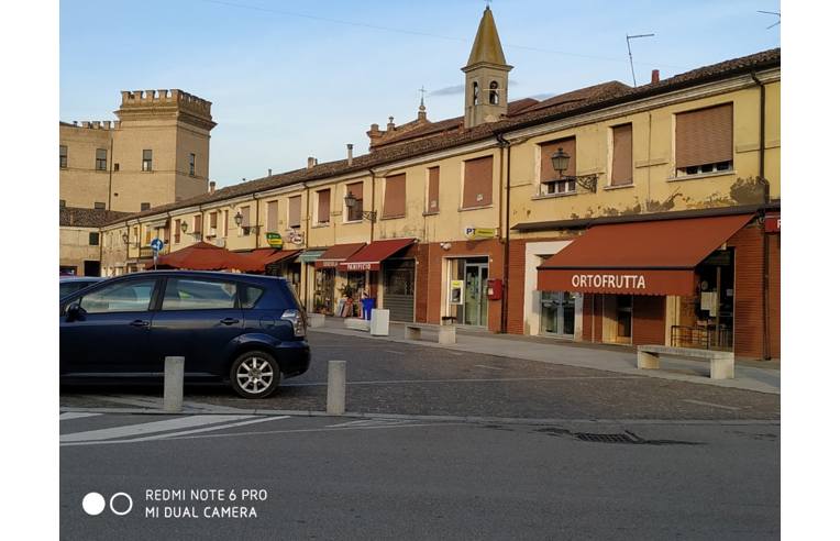 negozio in vendita a Mesola in zona Bosco Mesola