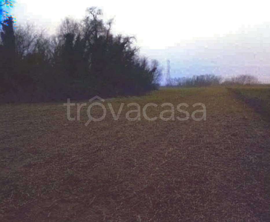 terreno agricolo in vendita a Mesola