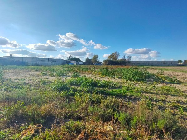 ufficio in vendita a Mesola in zona Bosco Mesola