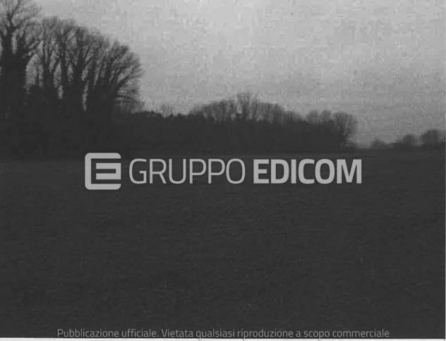 terreno agricolo in vendita a Mesola