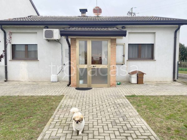 casa indipendente in vendita a Mesola in zona Bosco Mesola