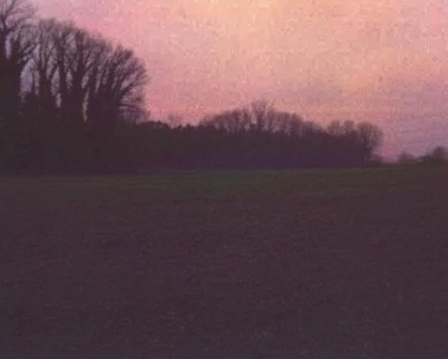 terreno edificabile in vendita a Mesola