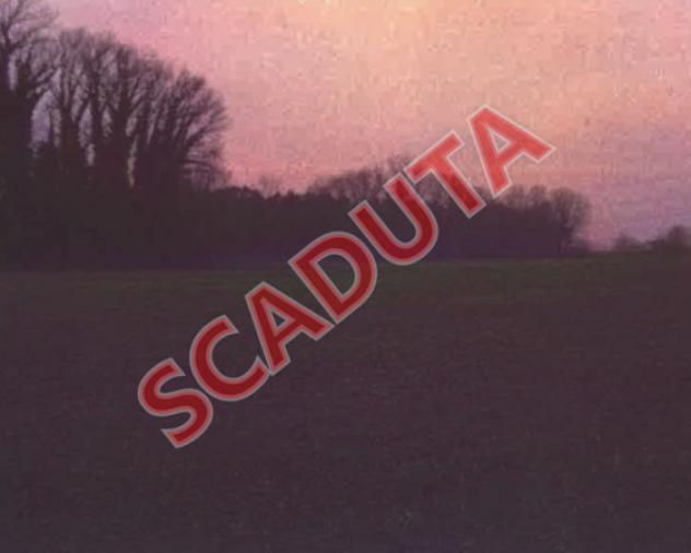 terreno edificabile in vendita a Mesola