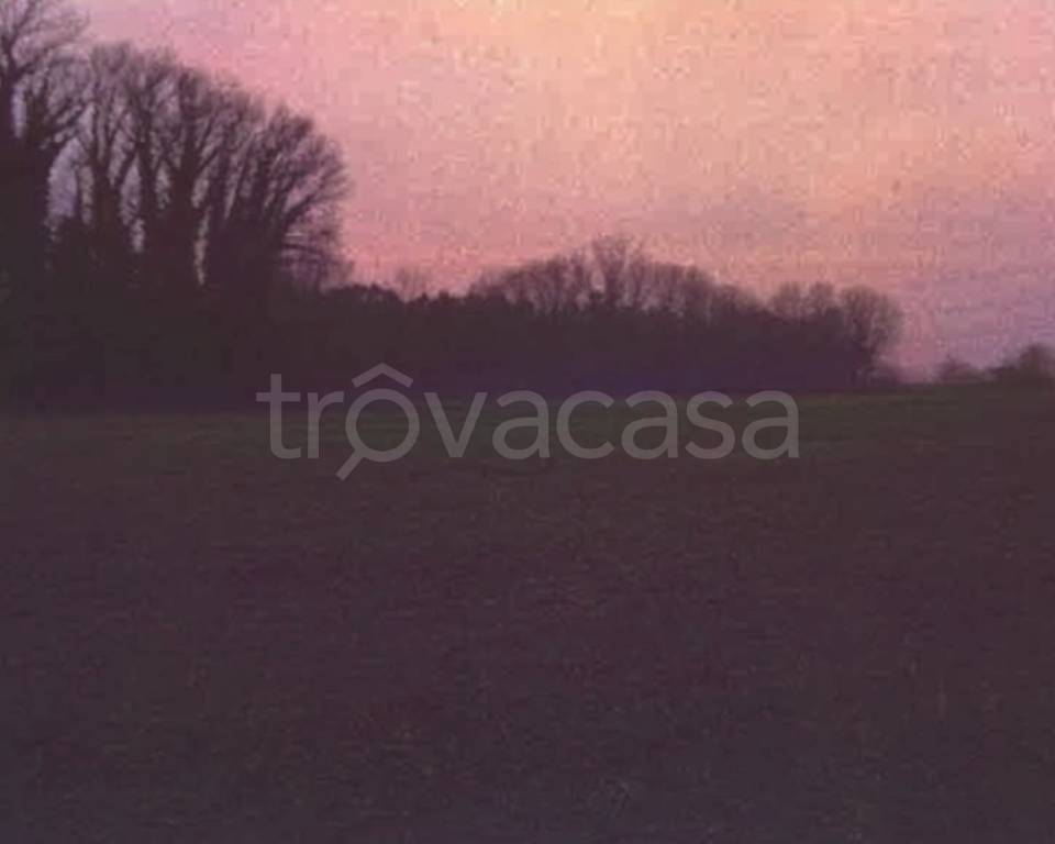 terreno edificabile in vendita a Mesola