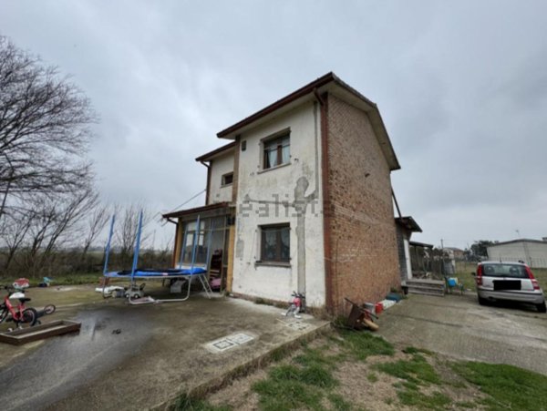 immagine annuncio 0 di 1