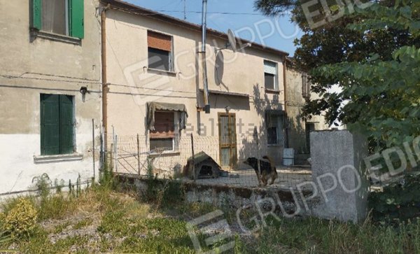 appartamento in vendita a Mesola