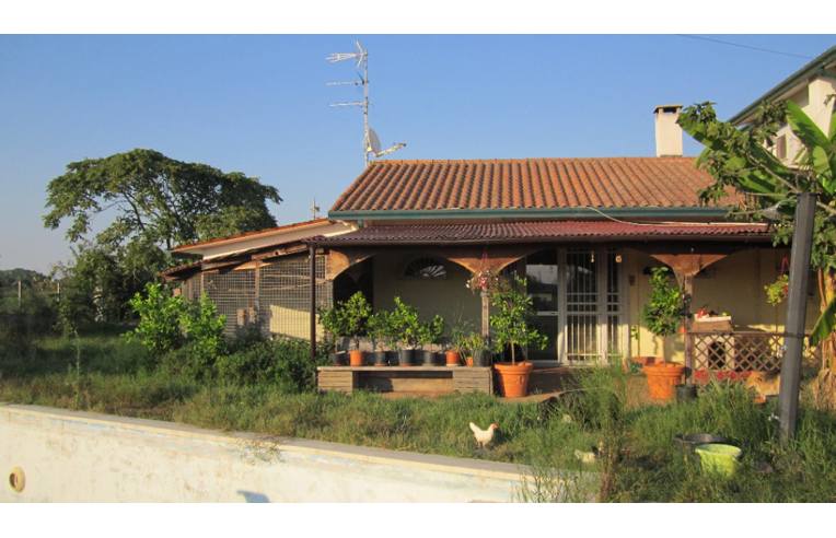 casa indipendente in vendita a Mesola in zona Monticelli