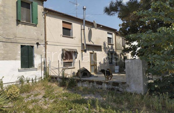 immagine annuncio 0 di 15