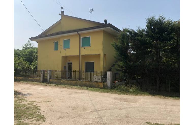 casa indipendente in vendita a Mesola in zona Bosco Mesola