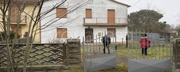 casa indipendente in vendita a Mesola in zona Monticelli