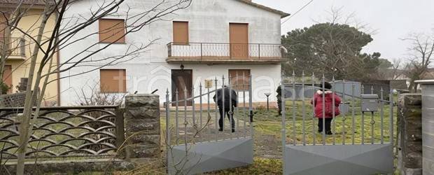 casa indipendente in vendita a Mesola in zona Monticelli