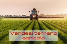 terreno agricolo in vendita ad Ostellato