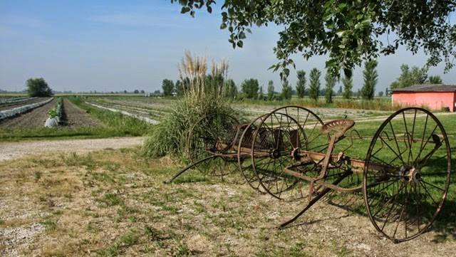 terreno agricolo in vendita ad Ostellato