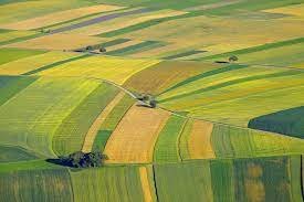 terreno agricolo in vendita ad Ostellato